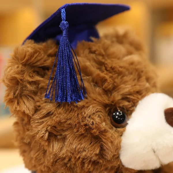 23/28 cm Söt björn plysch leksak fylld mjuk Kawaii-nalle Djurdockor Examengåvor för pojkar Flickor Studenttjejer 23cm Brown blue hat