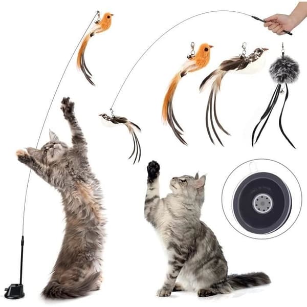 Interaktiv kattleksak - Varumärke - 5-pack kattfjäderleksaker med klocka och sugkopp