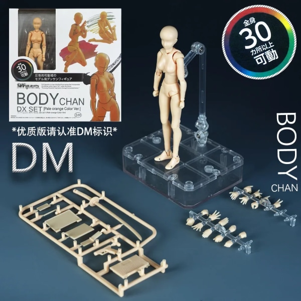 Skiss Rita Man Kvinna Rörlig Kropp Kun Kropp Chan Ledvärk Anime Figur Shf Action Figur Leksak Modell Rita Skyltdocka Girl with box
