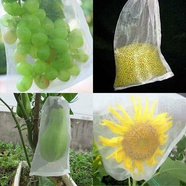 Förpackning med 100 insektsäkra nätpåsar - för blom- och fruktskydd