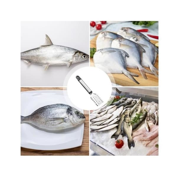 Fiskeskjellfjerner - Skrape - Rustfritt stål - Ergonomisk design - Oppbevaringskrok