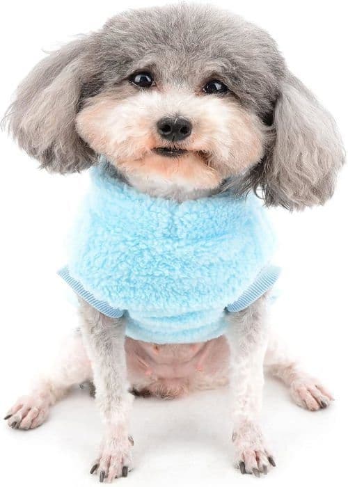 Fleece Pullover til Små Hunde, Varm, Blød og Plysset Vinterfrakke med D-Ring til Sele, Blå, Lille