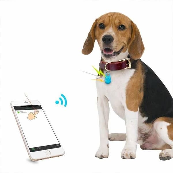 Smart Bluetooth GPS Tracker til Katte Hvid