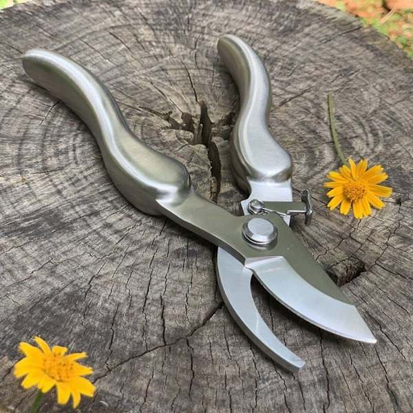 Professionel saks i rustfrit stål 210 mm PZCC
