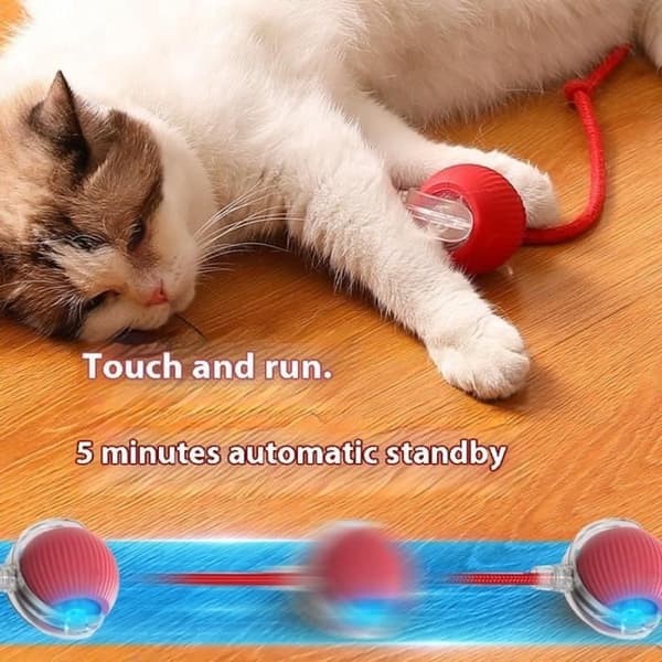 Pet Smart Rullende Bold Elektrisk Kattebold Legetøj Interaktiv Kattebold til Spil og
