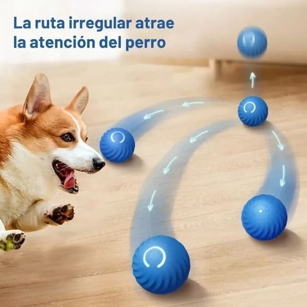 Smart Interaktiv Bold Legetøj til Hunde, Katte, LED, USB