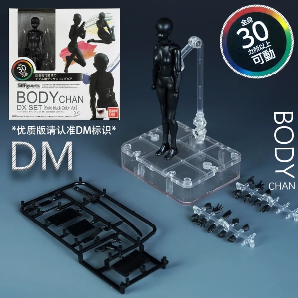 Skiss Rita Man Kvinna Rörlig Kropp Kun Kropp Chan Ledvärk Anime Figur Shf Action Figur Leksak Modell Rita Skyltdocka Girl with box