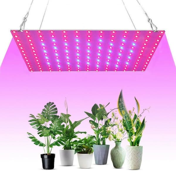 Fuld Spektrum LED Vækstlys Panel til Indendørs Planter Blomstrende Lampe - 169 Røde og Blå LED'er