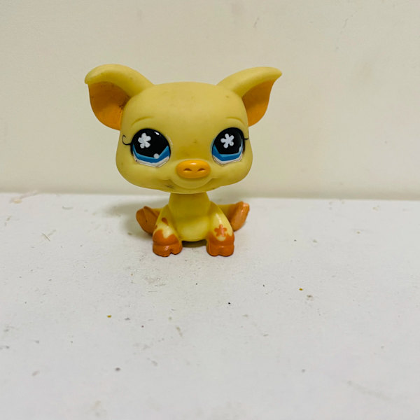 Original 5 cm Söta leksaker Grå räv hund katt orange sällsynt björn Lovely Pet djuraffär figur lpstoy minsta docka present tjej leksak 13