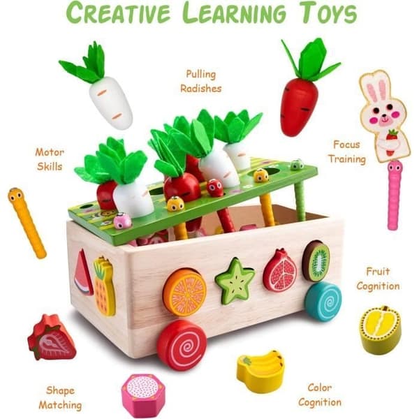 Montessori Legetøj - Mærke - Model - Gulerodshøst - Frugtgenkendelse - Form