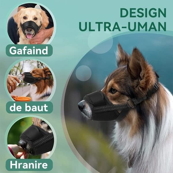 Koppel för stora/medelstora hundar, polyester, storlek XL, svart