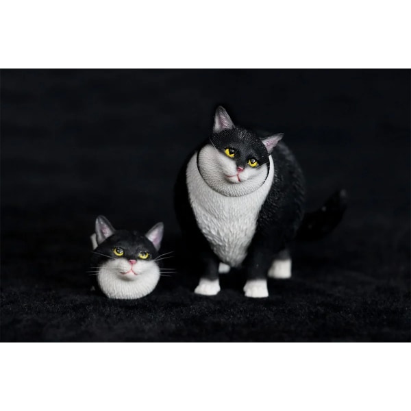 JXK 1/6 Ändra Huvud Fet Katt Modell Djursamlare Husdjur Realistisk Rolig Dekoration Vuxna Utbildningsleksak Present Rekvisita Människor Inga människor Plats JXK109E