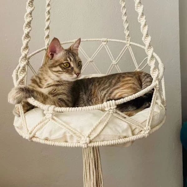 Kattesving i Macramé Design, Beige 40cm 40cm