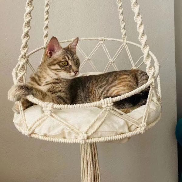 Kattesving i Macramé Design, Beige 50cm 50cm