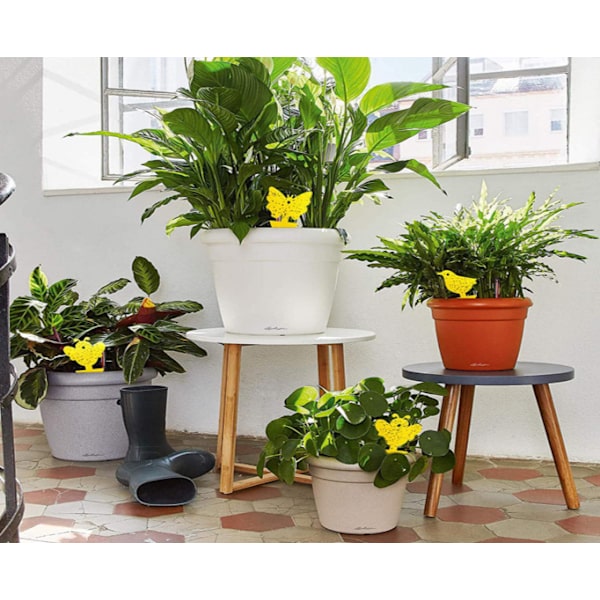 Flugfångare / Flugfälla / 20 pack Blomma