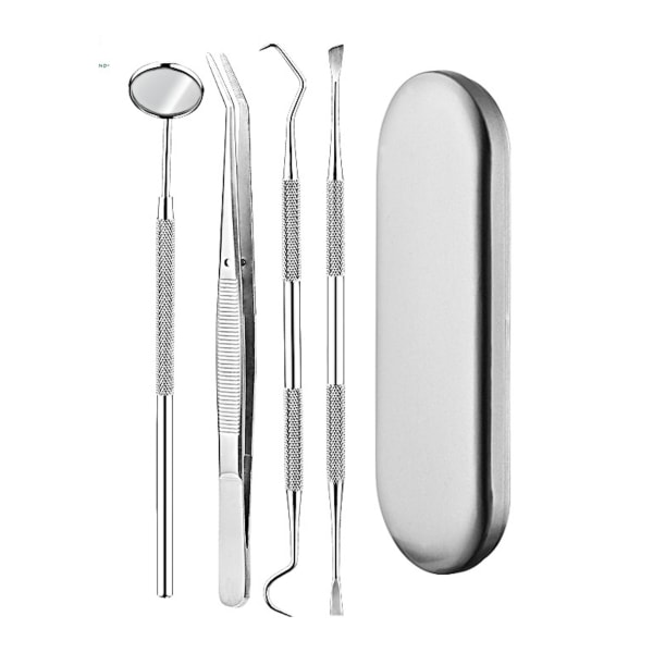 Professional dental hygiene kit - 4 parts stainless steel Silver - Julklappa silver