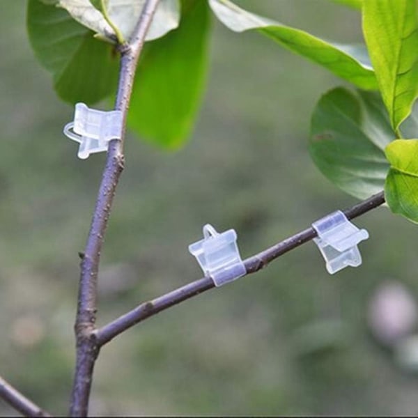 100 st växtförädlingsklämmor, minitransparenta klämmor i plast, tomatranklämmor, växtfröklämmor