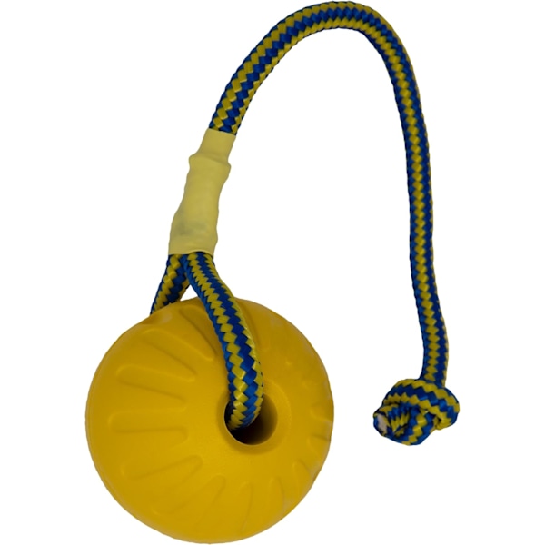 Swing N Fling Durafoam apportboll för hund, Stor