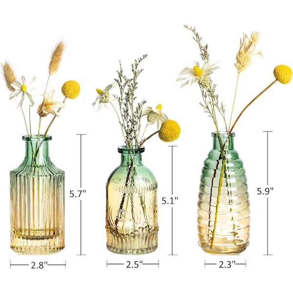 Budvaser Set om 3, Små Glasvaser för Blommor Mini Budvaser Söta Färgade Ärtvaser Modern Blomsterdekoration