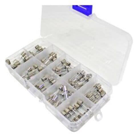 100-pack säkringar, 520 mm säkring, 0,25A6A snabb säkring