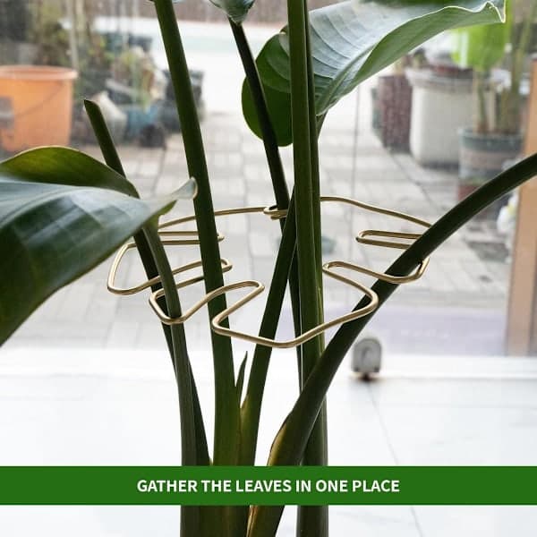 Monstera plantestøttesæt, 4 dele (guld)