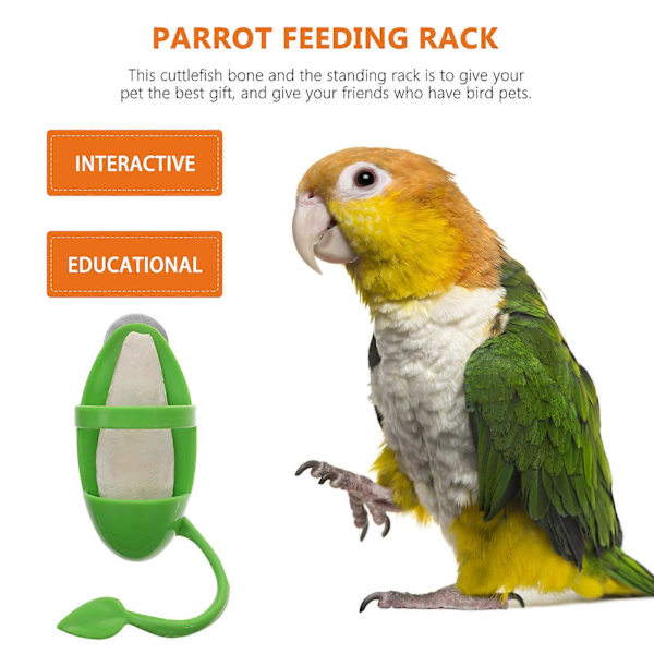 1 Set Sepiaskalmar Parrot Matningsfäste Hängande Matningsskål Fågelmatare