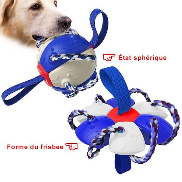 Pædagogisk legetøj til kæledyr, udendørs træning, interaktiv frisbee, tyggelegetøj til hunde, blå+hvid Blue and white