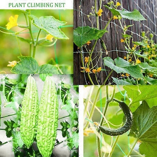 4 kokoa 27 säiettä puutarhakasvien kiipeilyverkko Ipomoea Nil -kiipeilykukkia varten, kiipeilyrottinkiköydet kasveille green 0.9m*1.8m