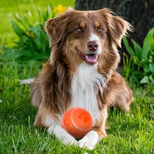 Smart Hundboll - Interaktiv Lekboll - Automatisk Rullning - Fjärrkontroll
