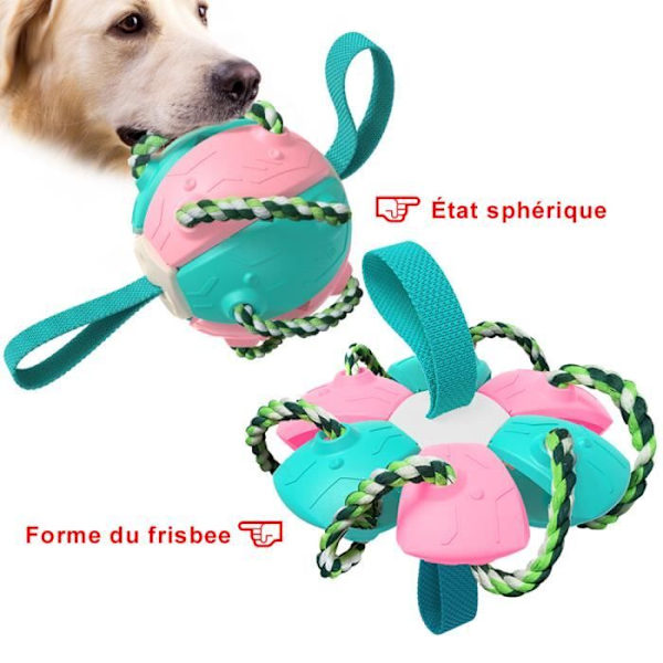 Kæledyrs pædagogisk legetøj, udendørs træning, interaktiv frisbee, tyggelegetøj til hunde, pink+søblå Pink and lake blue