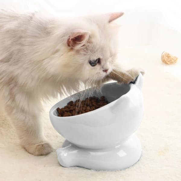 Keramisk kattskål, upphöjd kattskål, halkfri bas, 15° lutbar design (vit)