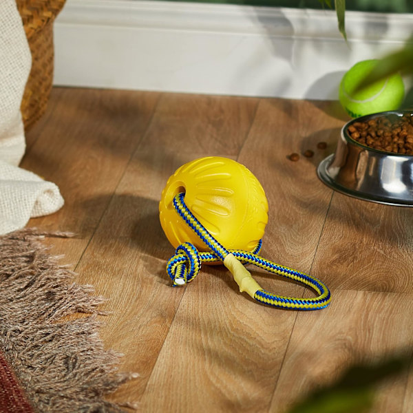 Swing N Fling Durafoam apportboll för hund, Stor