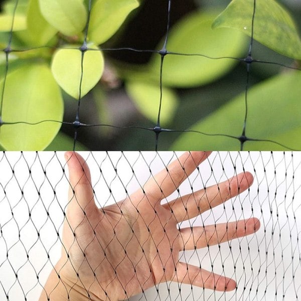 Svart fågelnät Fjäderfänät voljär för grönsaker - Perfekt 2*9M