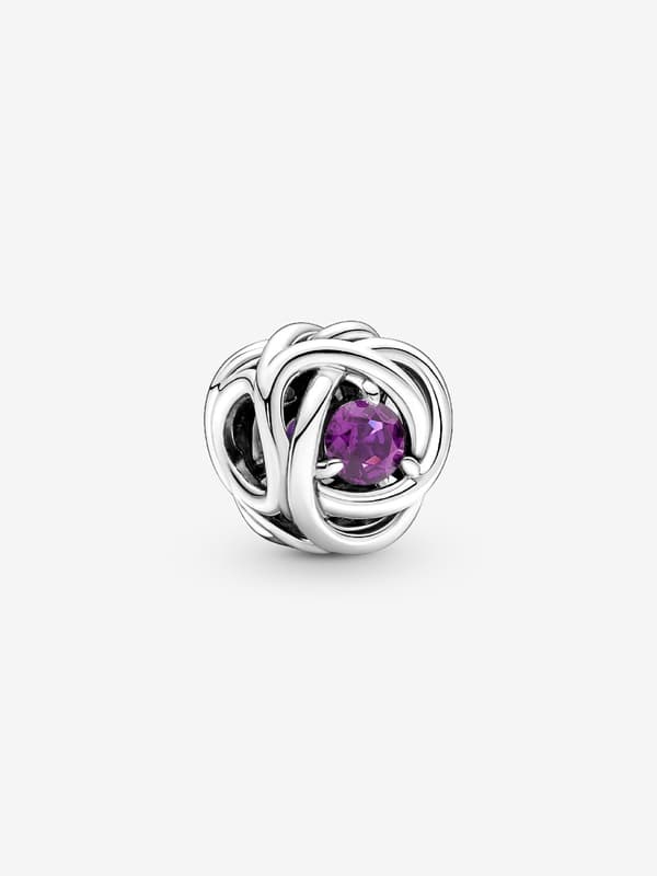 - February Purple Eternity Circle Charm - Sterlingsilver