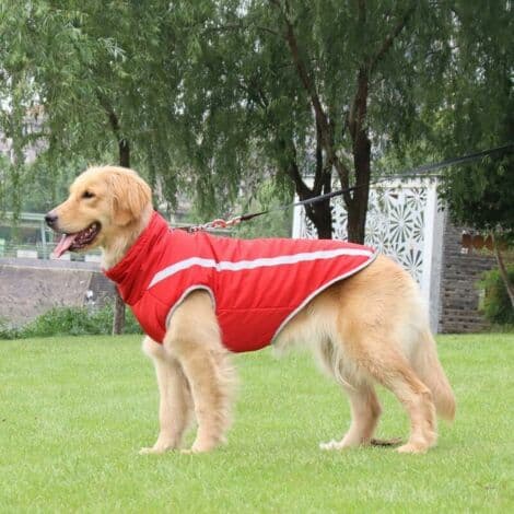 Vattentät hundjacka – Varm vinterjacka i polyester – Fleece-foder – Reflexband – Hål för sele – Röd