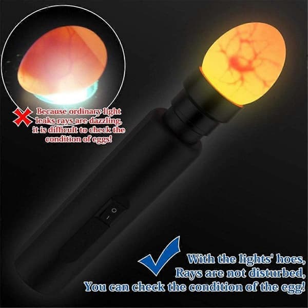 Trådløs oppladbar LED lys kjølig hvit egglampe for overvåking av eggutvikling med