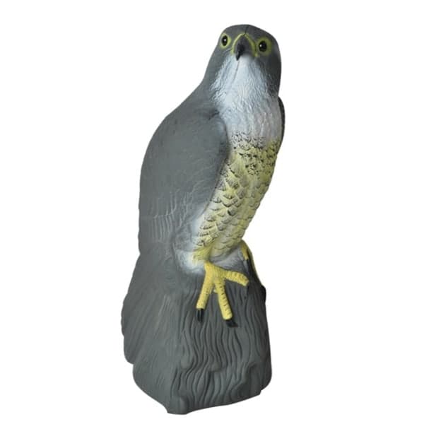 Variksenpelätin Haukka - Karkota linnut