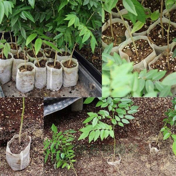 100-pakke - Tomme frøposer / poser til frøplanter - Plante hvid