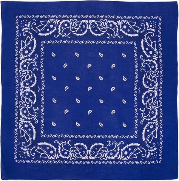 Stor bomullspaisleybandana (22\" x 22\")