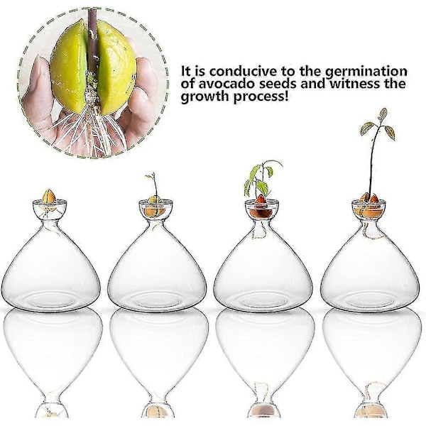 2 stilar Ny Transparent Fröstartvas För Odling av Frö Odlingskit Avokadoplanta Glasvas Gåva För Trädgårdsälskare B