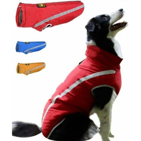 Vattentät hundjacka – Varm vinterjacka i polyester – Fleece-foder – Reflexband – Hål för sele – Röd