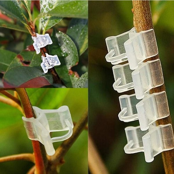 100 st växtförädlingsklämmor, minitransparenta klämmor i plast, tomatranklämmor, växtfröklämmor