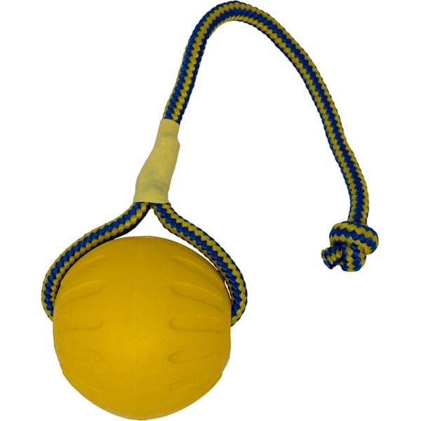 Swing N Fling Durafoam apportboll för hund, Stor