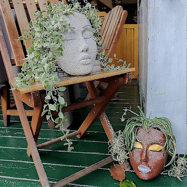 Ansiktsblomkruka Väggmonterad Blomkruka Hemträdgård Väggdekorationer 2