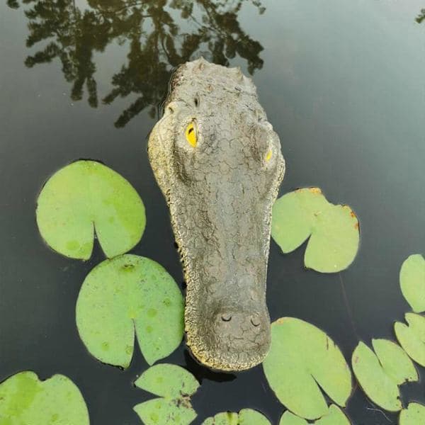 Krokodillehode Hagedam Flytende Dyrepynt Parkbassengdekorasjon Simuler (32CM)