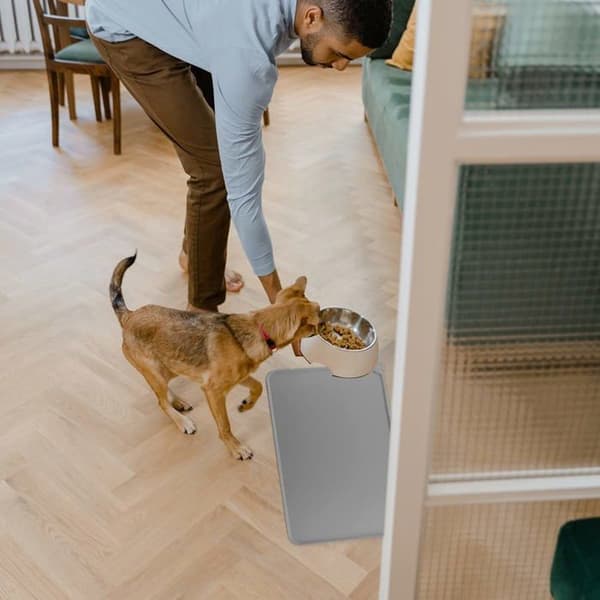 Foderunderlag til kat og hund, kæledyrsskål, dækkeserviet, silikonebakker, skridsikker (grå)