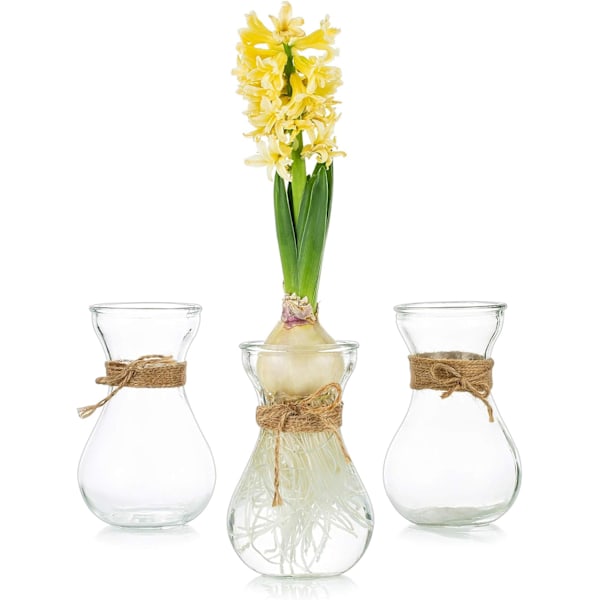 Glasvaser för Blommor med Jutesnöre 3 St/Set Blomsterarrangemang, Glasvaser, Kristallvaser Kreativa för Bröllop, Hem, Kök
