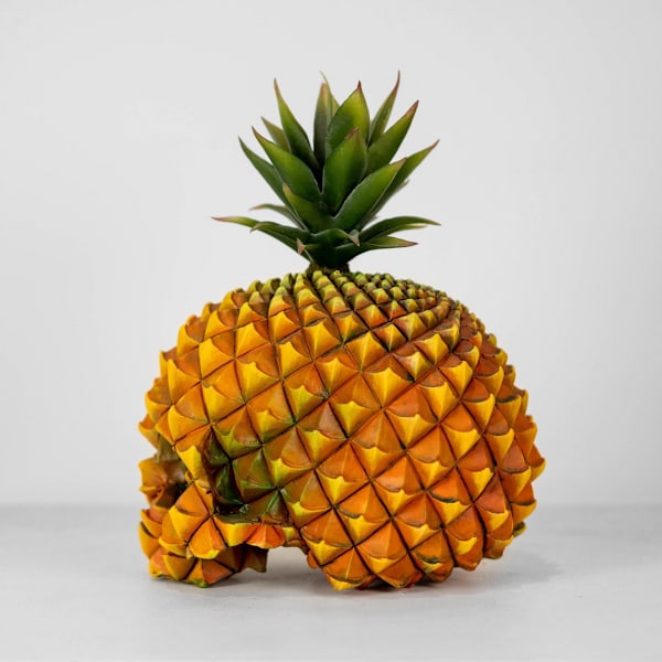 Kreativt ananas-kraniehovedbeholder kontorbord hjem Halloween dekoration ornamenter