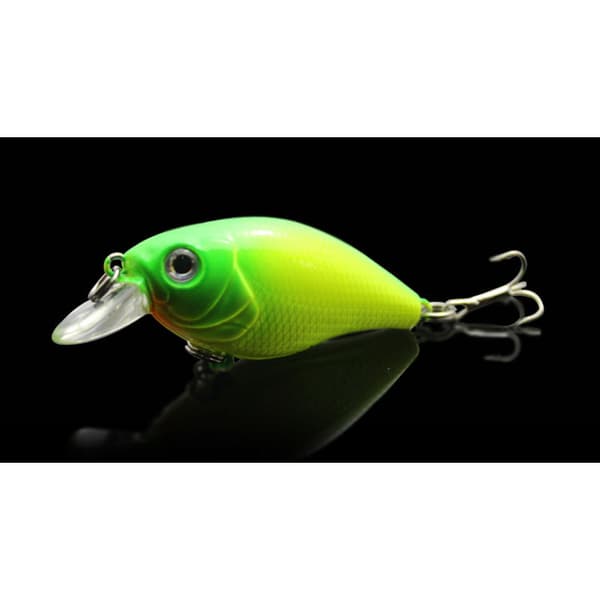 Bait & Tackle Syöttikotelo 5 kpl