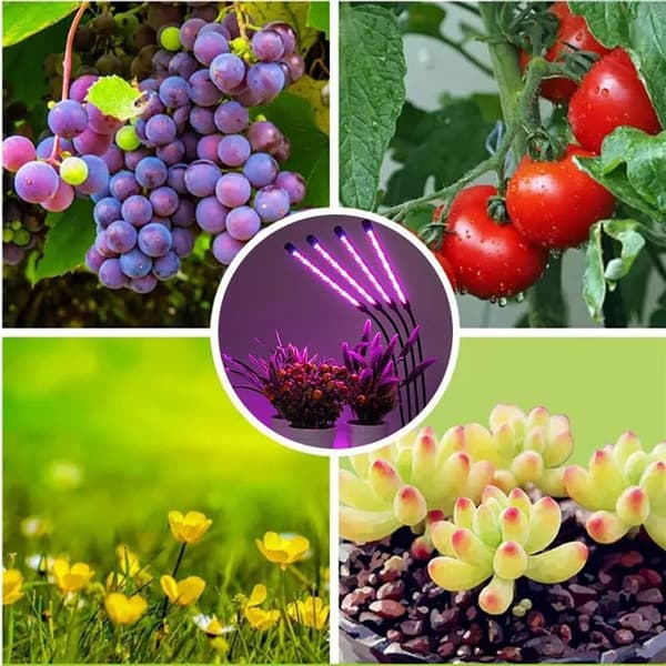 40W LED plantelys plantevækst fyldlys